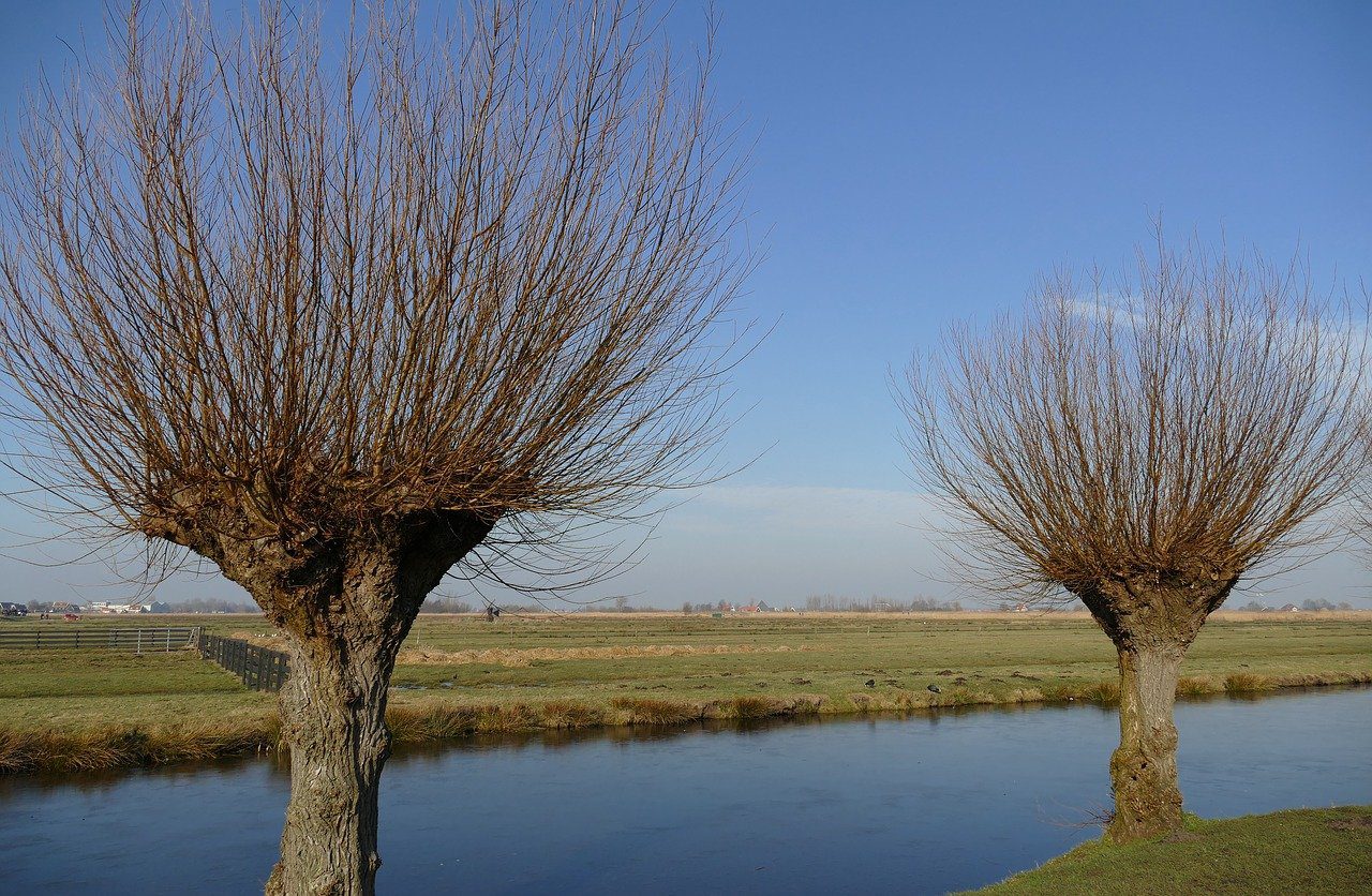 Stichting Hout voor Elkaar nieuwe partner SDGHUB